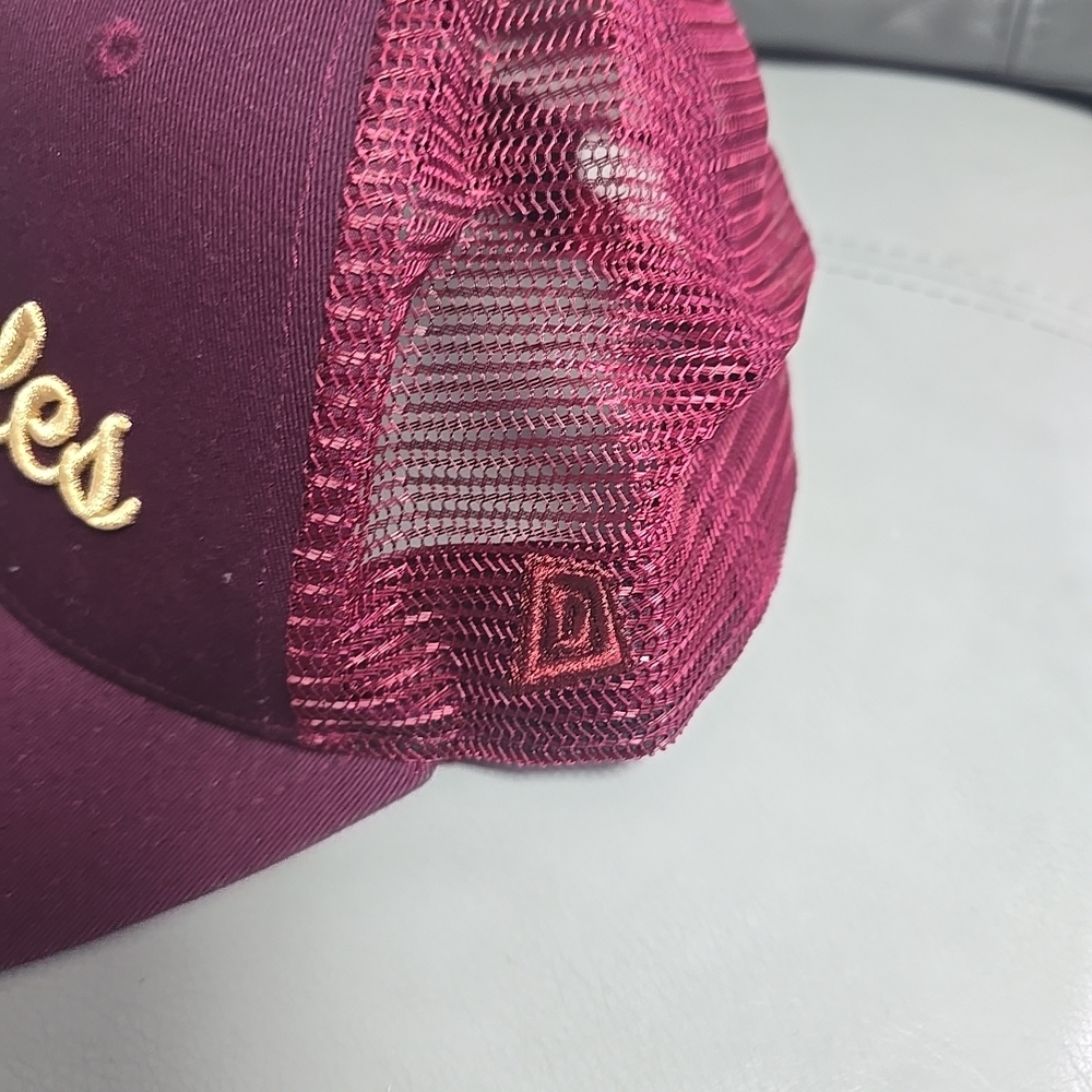 DTWD 2023 Limited Edition Only Noles FSU Florida State Seminoles Snapback Hat - Picture 3 of 5
